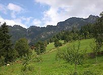 Gasthof Woell Alpbach Extérieur photo