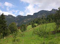 Gasthof Woell Alpbach Extérieur photo